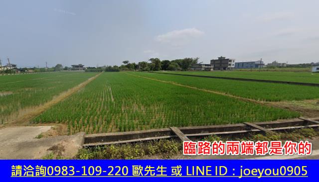 新竹新豐農地法拍-2