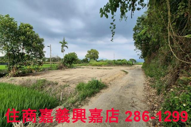 嘉義農地_建地-10