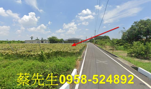 柳營法拍農地-5