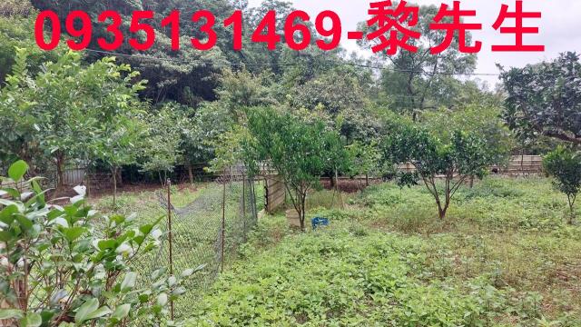 新竹農地-13