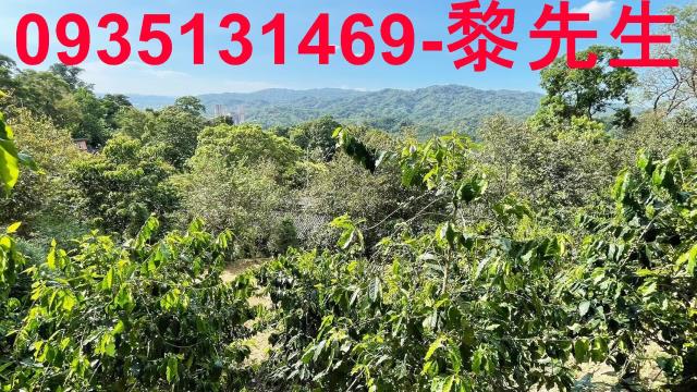 新竹橫山林地-3
