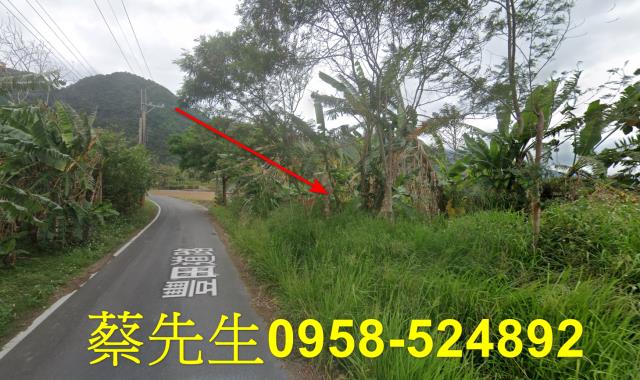 台東成功農地拍賣-13