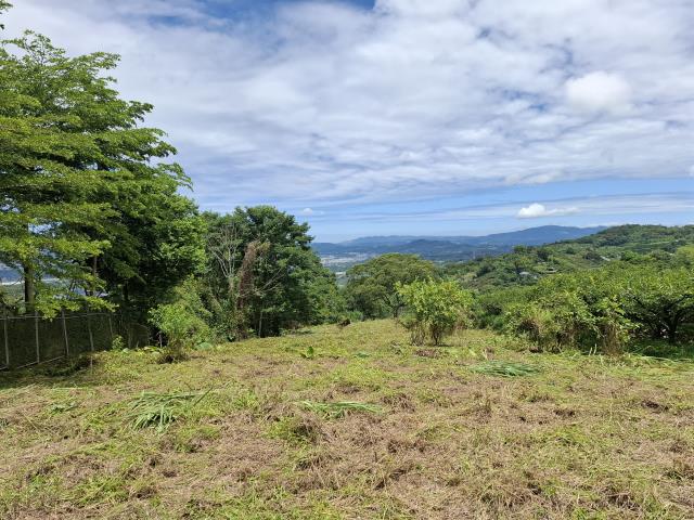 東勢農地_山坡地_休閒地-13