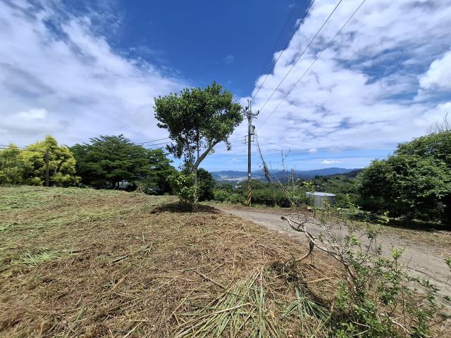 東勢農地_山坡地_休閒地-8