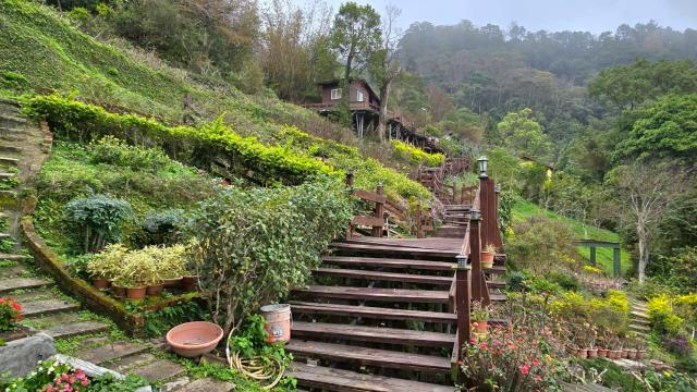 苗栗南庄農地_山坡地-5