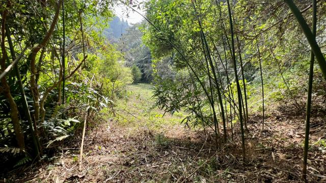 橫山農地_山坡地_休閒地-8