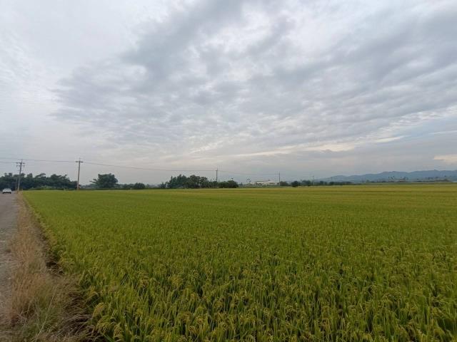 東山農地_休閒地-3