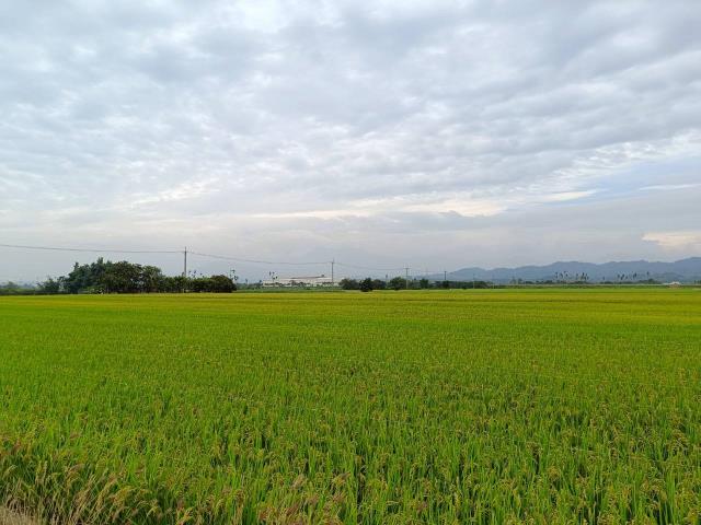 東山農地_休閒地-4