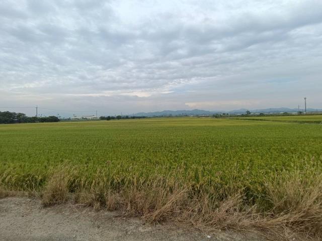 東山農地_休閒地-5
