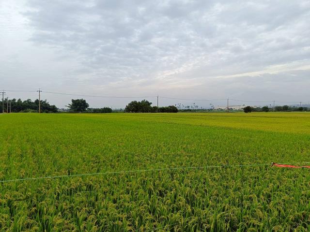 東山農地_休閒地-8