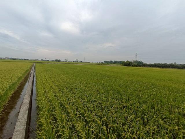 東山農地_休閒地-12