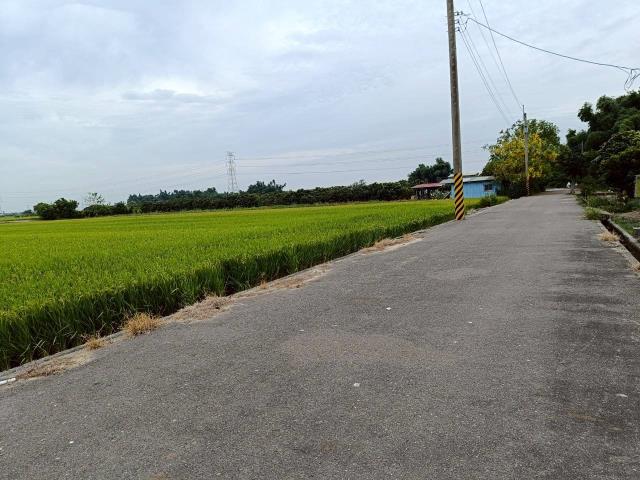 東山農地_休閒地-14