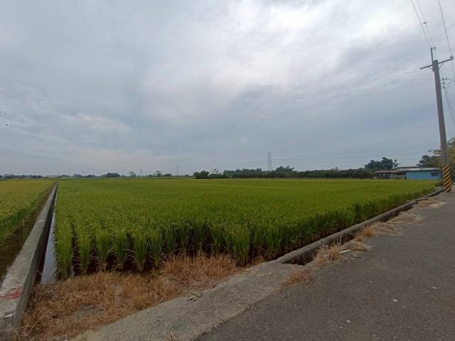東山農地_休閒地-3