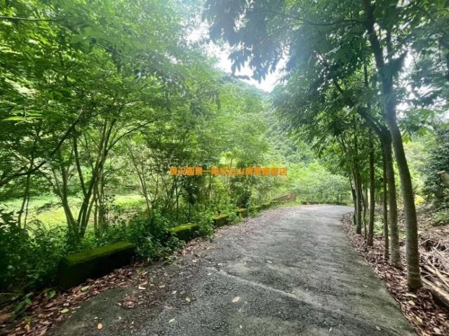 南投農地_建地-6
