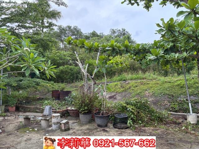 高雄杉林農地_建地-5