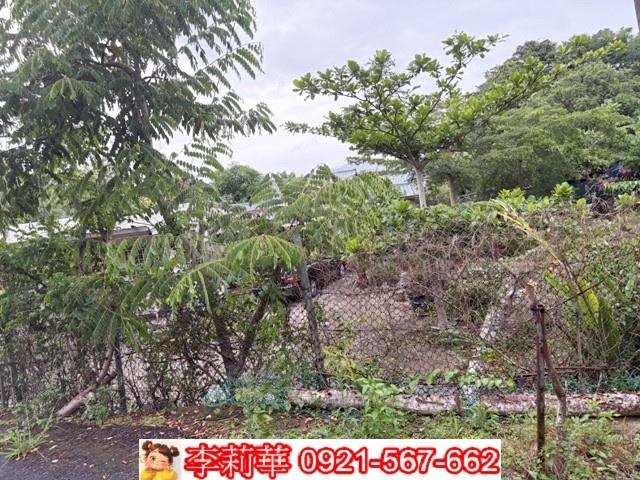 高雄杉林農地_建地-6