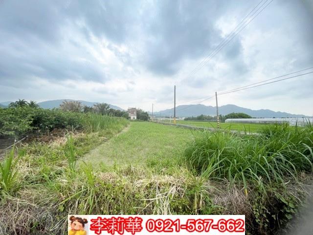 高雄杉林農地-6