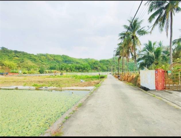 高雄美濃農地_建地-3