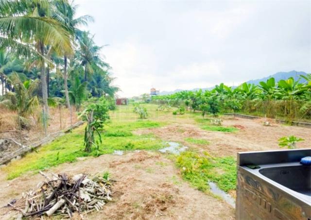 高雄美濃農地_建地-5