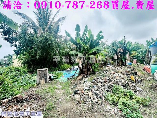 安南農地_建地_道路地-4