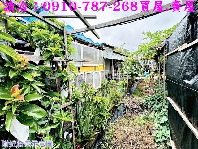 安南農地_建地_道路地-5