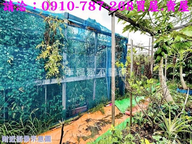 安南農地_建地_道路地-8