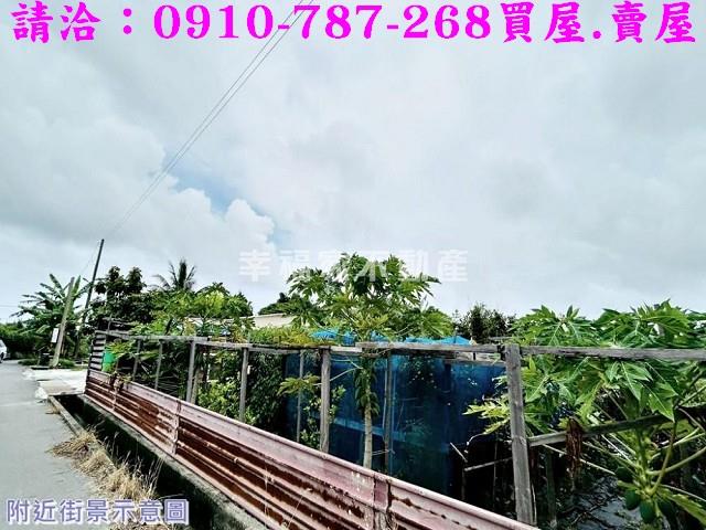 安南農地_建地_道路地-9