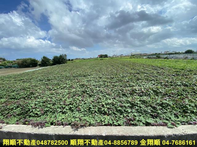 彰化農地_建地-4