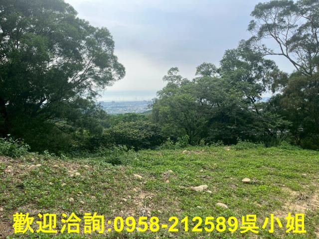 苗栗山坡地_休閒地-3