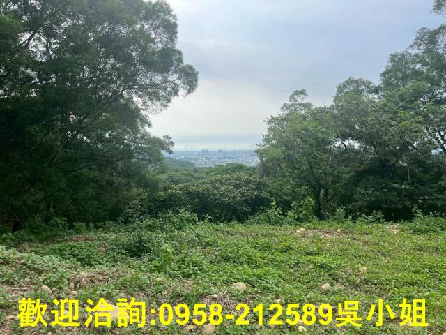 苗栗山坡地_休閒地-4