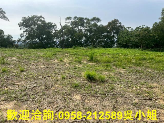 苗栗山坡地_休閒地-5