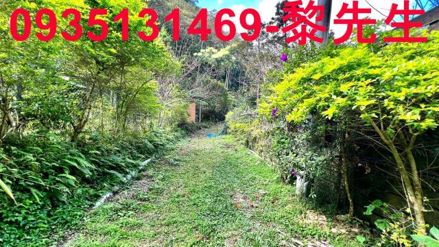 新竹橫山農地_道路持分-4