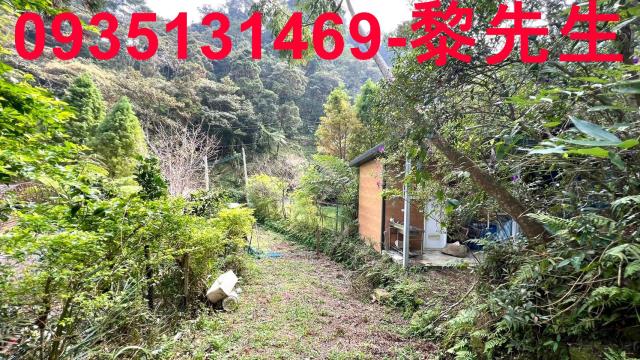 新竹橫山農地_道路持分-9