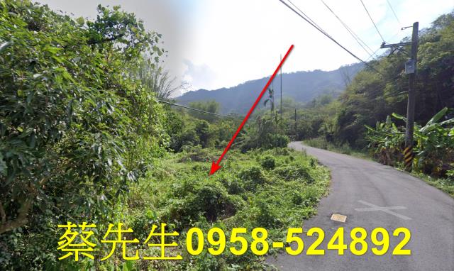 高雄內門建地法拍-15