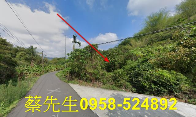 高雄內門建地法拍-5
