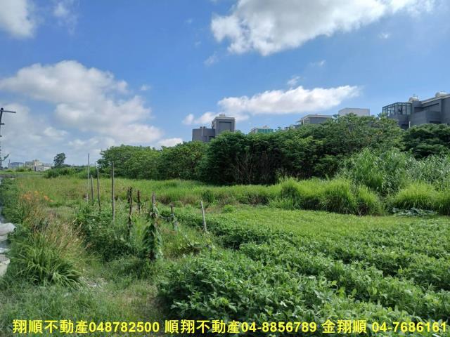 彰化埔鹽農地-4