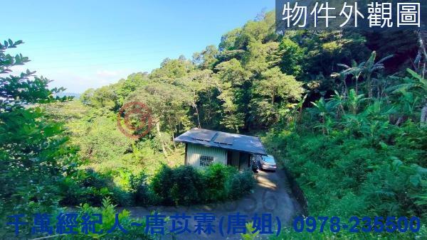 新竹芎林山坡地_林地-1