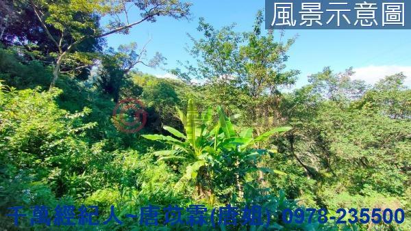 新竹芎林山坡地_林地-8