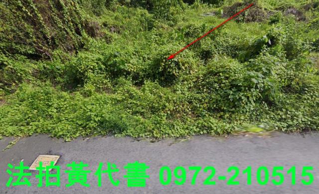 內門建地法拍-9
