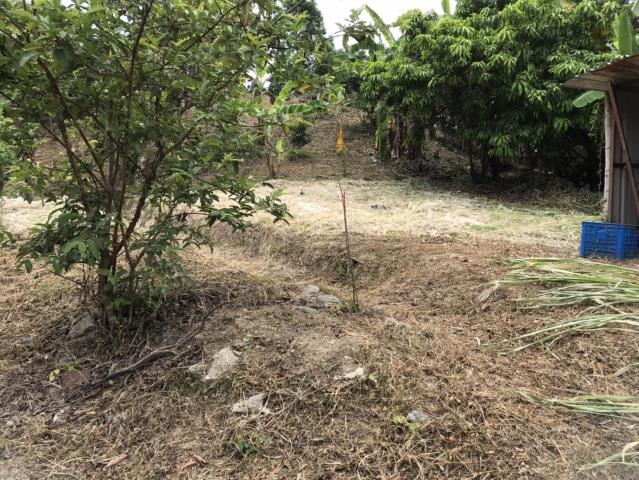 台中霧峰農地_建地_山坡地-14