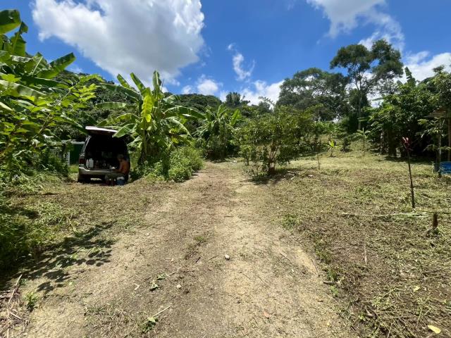 台中霧峰農地_建地_山坡地-9