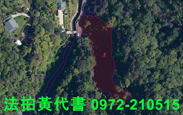 文山區拍賣休閒地-10