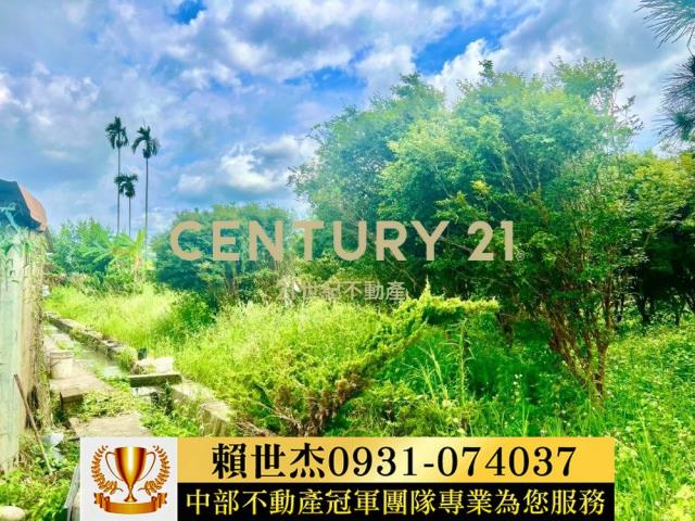 台中農地-3