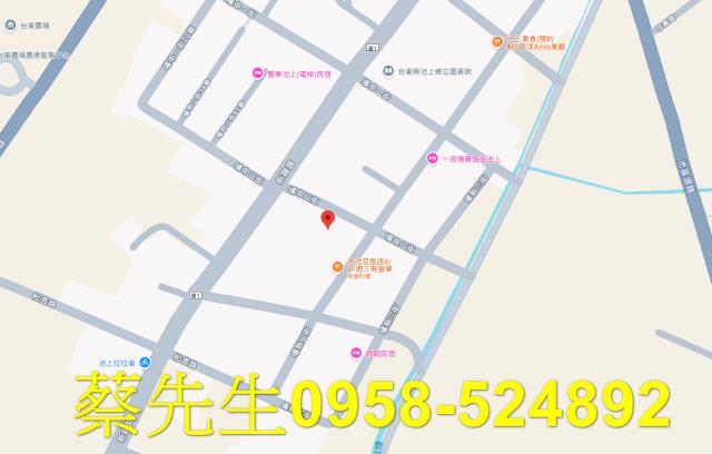 台東池上法拍住宅地-8