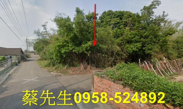 嘉義建地法拍-15