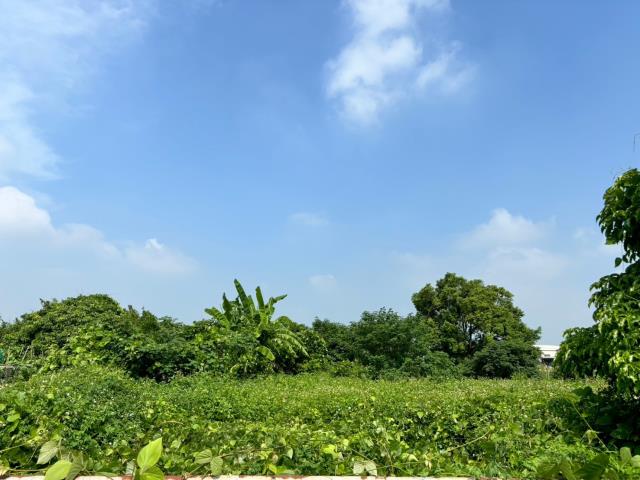 台中農地-3