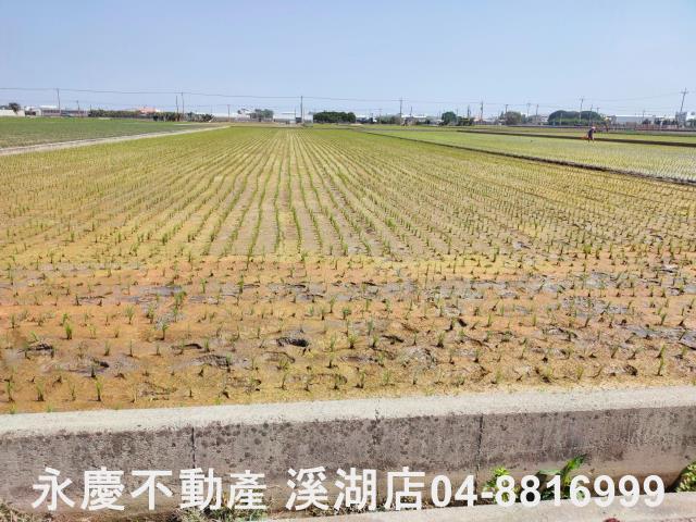 彰化埔鹽農地-13