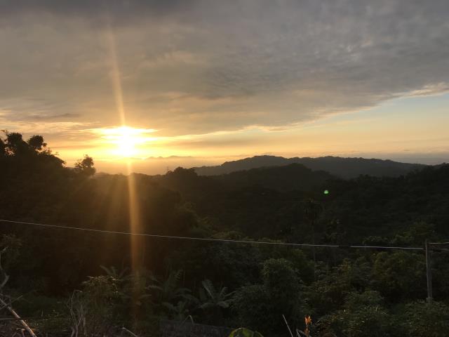 台中太平農地_山坡地-10