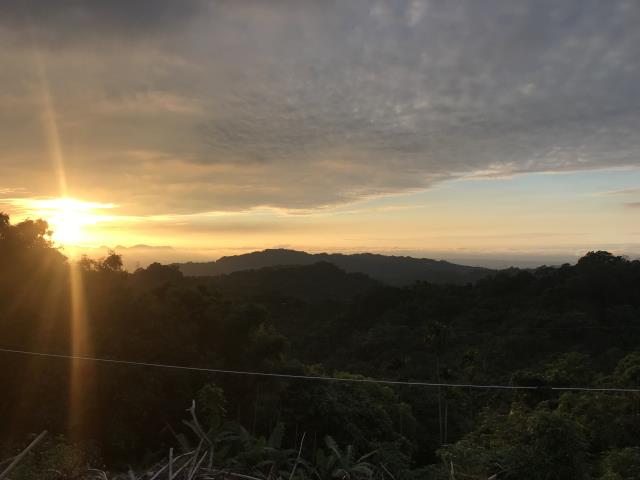 台中太平農地_山坡地-11