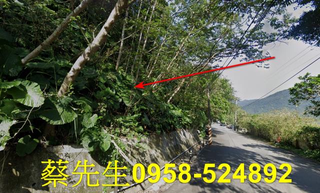 新北萬里農地法拍-6